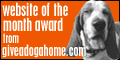 Website of the Month Award giveadogahome.com