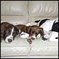 Kayleigh, Jenna & Molly