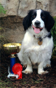 Ronnie 'Bijiou' - Best Rescue Boy - Midland Game Fair 2010
