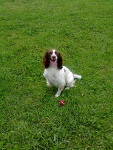 Tilly