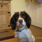 Billy
