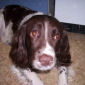 Billy