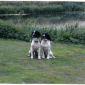 Buster & Billy