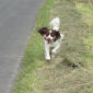 Jack