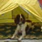 Jess on her hols.!!