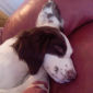 Jessie  'having a nap!!'