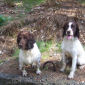 Meg & Amy