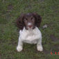 Millie