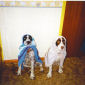 Bramwell & Benson relaxing at the Spa!!
