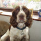 Charlie