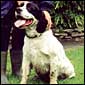 George