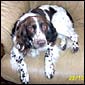Buster