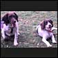 Lottie and Bonnie