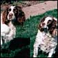 Loius & Sasha