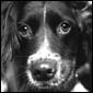 Millie