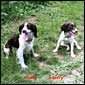 Milly & Molly