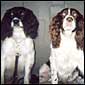 Molly and Charlie