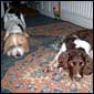 Rosie & Lucy