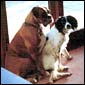 Sally & Hugo
