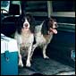 Hamish & Seeka