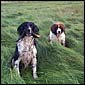 Zeb & Jasper